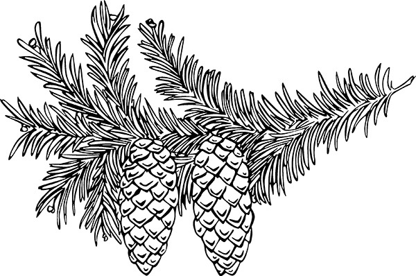 Иллюстрация к книге — Мильтон и Булька [_115.jpg]