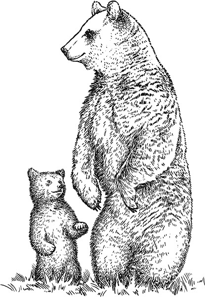 Иллюстрация к книге — Мильтон и Булька [_121.jpg]