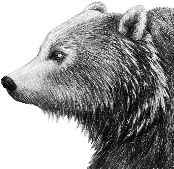 Иллюстрация к книге — Мильтон и Булька [_123.jpg]