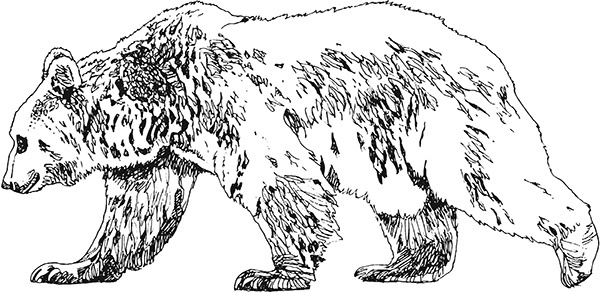 Иллюстрация к книге — Мильтон и Булька [_125.jpg]