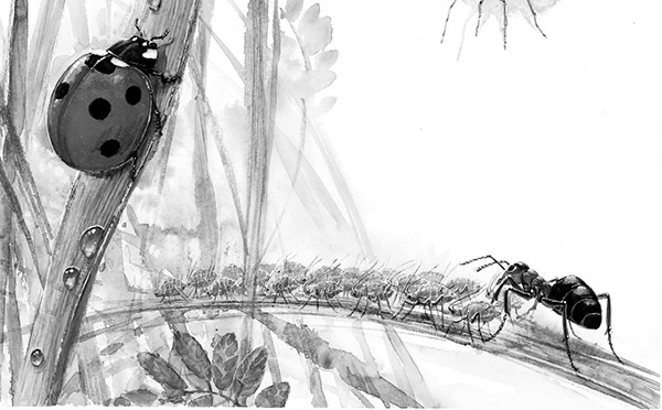 Иллюстрация к книге — Мильтон и Булька [_146.jpg]