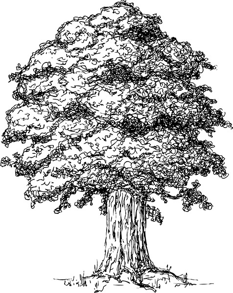 Иллюстрация к книге — Мильтон и Булька [_150.jpg]