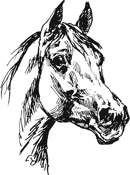 Иллюстрация к книге — Мильтон и Булька [_156.jpg]