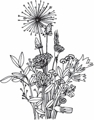 Иллюстрация к книге — Hygge. Твое уютное счастье с объятьями, печеньками и пледом. Секреты наслаждения жизнью по-скандинавски [_51.jpg]