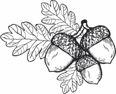 Иллюстрация к книге — Hygge. Твое уютное счастье с объятьями, печеньками и пледом. Секреты наслаждения жизнью по-скандинавски [_70.jpg]