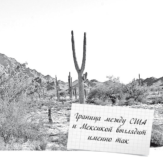 Иллюстрация к книге — Будни Гринго в Америке [i_013.jpg]