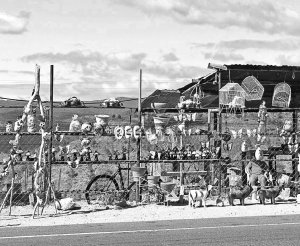 Иллюстрация к книге — Будни Гринго в Америке [i_052.jpg]