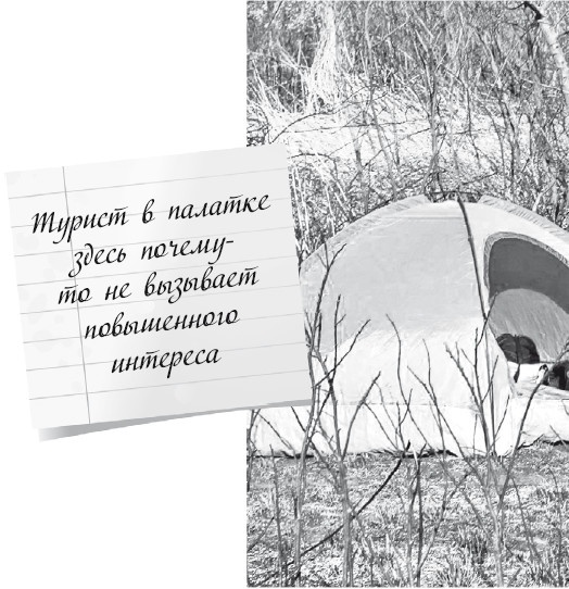 Иллюстрация к книге — Будни Гринго в Америке [i_076.jpg]