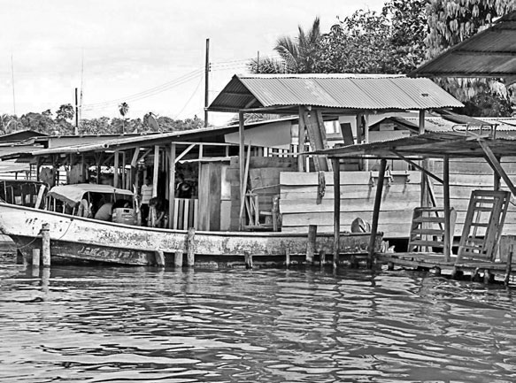 Иллюстрация к книге — Будни Гринго в Америке [i_083.jpg]