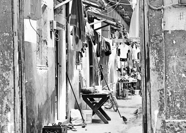 Иллюстрация к книге — Будни Гринго в Америке [i_087.jpg]