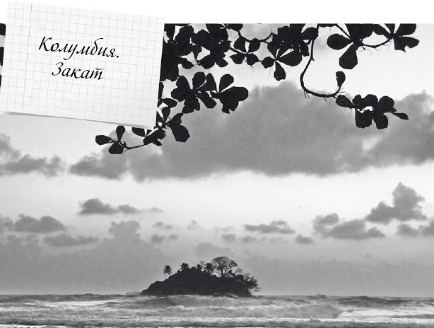 Иллюстрация к книге — Будни Гринго в Америке [i_098.jpg]