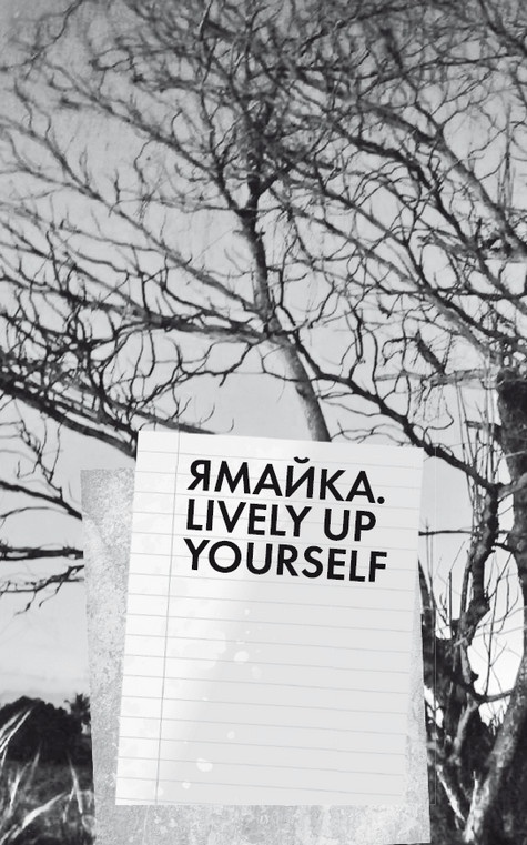 Иллюстрация к книге — Будни Гринго в Америке [i_108.jpg]