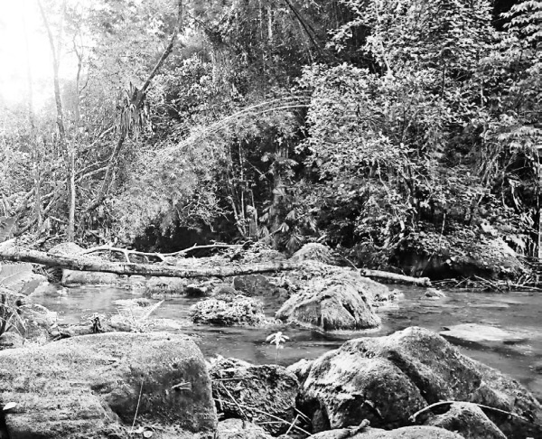 Иллюстрация к книге — Будни Гринго в Америке [i_114.jpg]