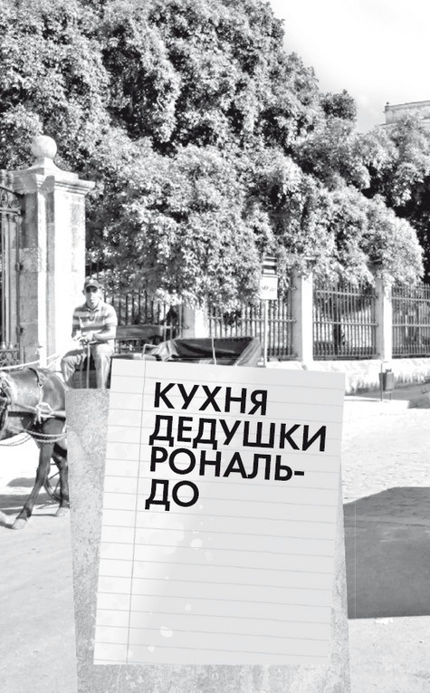 Иллюстрация к книге — Будни Гринго в Америке [i_119.jpg]