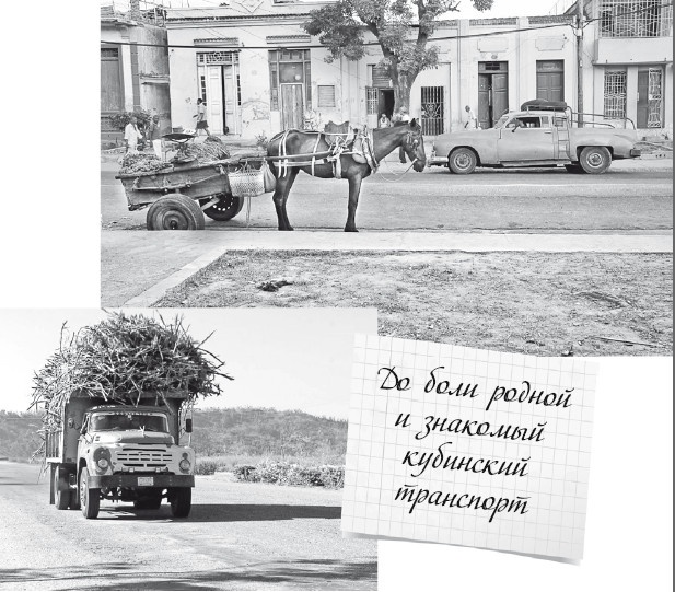 Иллюстрация к книге — Будни Гринго в Америке [i_122.jpg]