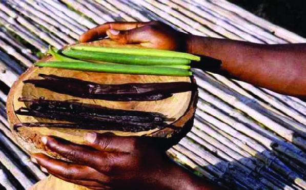 Иллюстрация к книге — 25 любимых специй [_004.jpg]