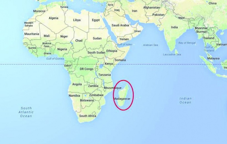 Иллюстрация к книге — 25 любимых специй [_007.jpg]