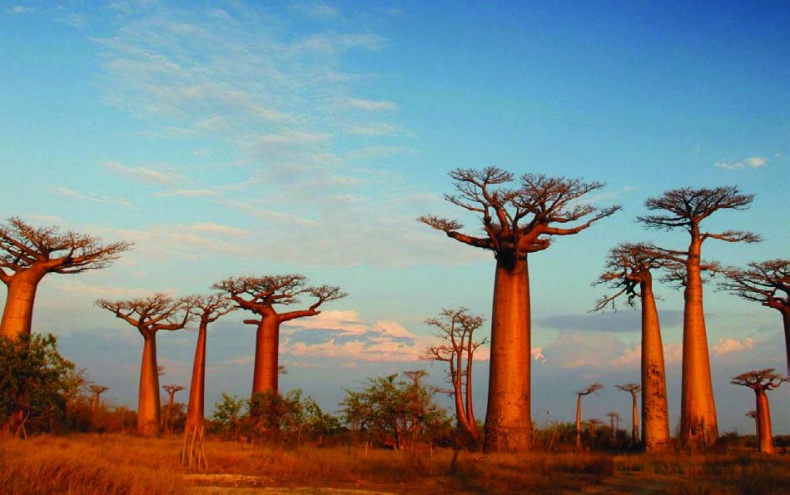 Иллюстрация к книге — 25 любимых специй [_007_3.jpg]