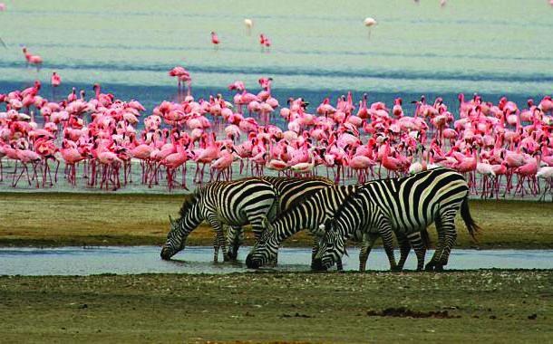 Иллюстрация к книге — 25 любимых специй [_012_2.jpg]