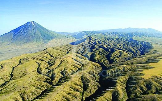 Иллюстрация к книге — 25 любимых специй [_013.jpg]