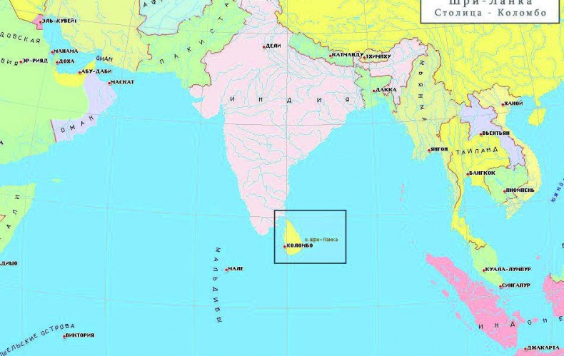 Иллюстрация к книге — 25 любимых специй [_018.jpg]