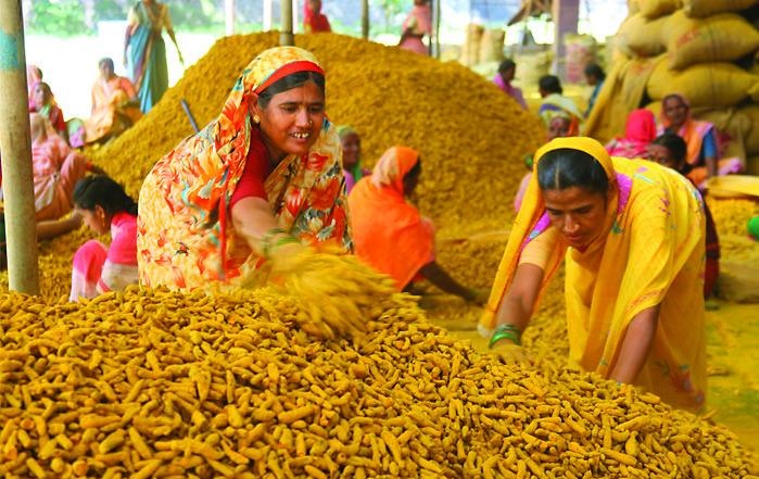 Иллюстрация к книге — 25 любимых специй [_030.jpg]