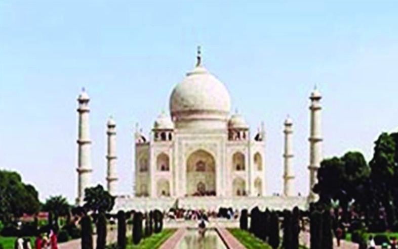 Иллюстрация к книге — 25 любимых специй [_032.jpg]