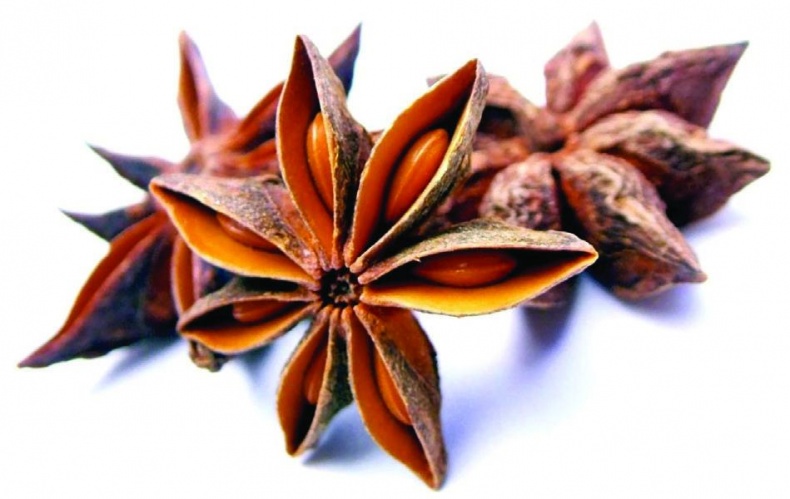 Иллюстрация к книге — 25 любимых специй [_040.jpg]