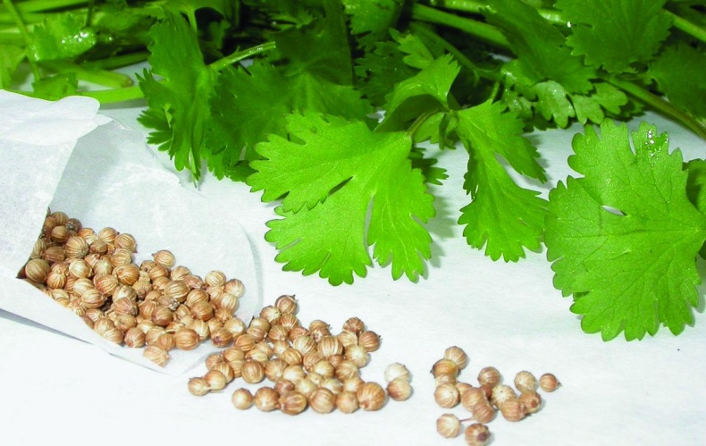 Иллюстрация к книге — 25 любимых специй [_061.jpg]