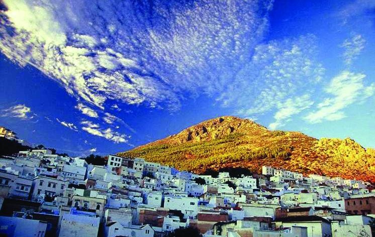 Иллюстрация к книге — 25 любимых специй [_066.jpg]