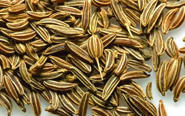 Иллюстрация к книге — 25 любимых специй [_095.jpg]