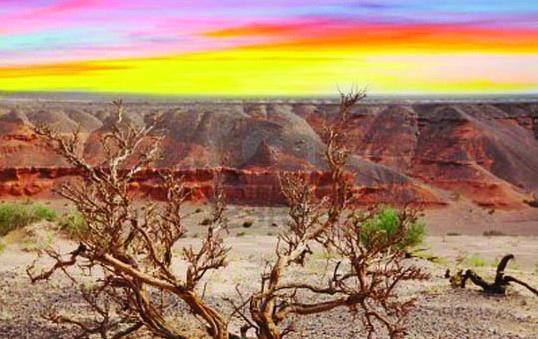 Иллюстрация к книге — 25 любимых специй [_103.jpg]