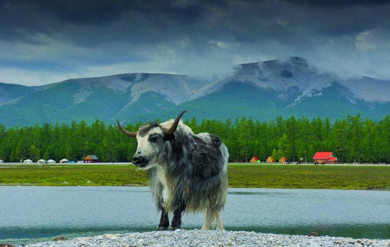 Иллюстрация к книге — 25 любимых специй [_104_2.jpg]