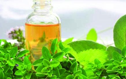 Иллюстрация к книге — 25 любимых специй [_113.jpg]