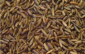 Иллюстрация к книге — 25 любимых специй [_123.jpg]