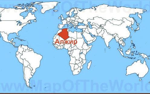 Иллюстрация к книге — 25 любимых специй [_138.jpg]