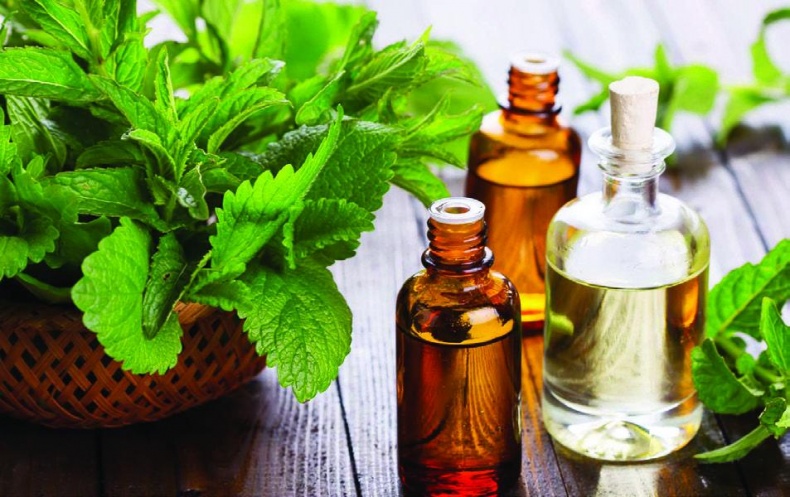 Иллюстрация к книге — 25 любимых специй [_157.jpg]