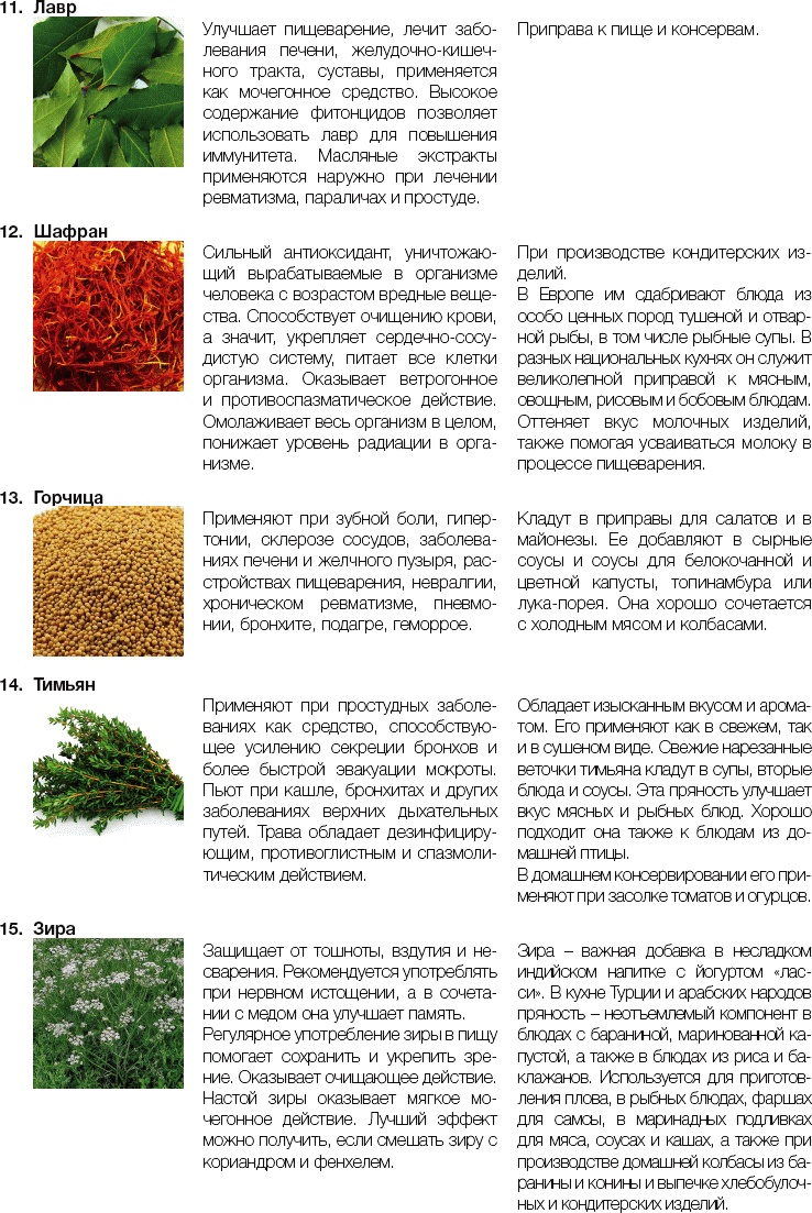 Иллюстрация к книге — 25 любимых специй [_331.jpg]