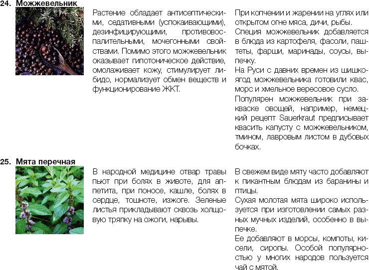 Иллюстрация к книге — 25 любимых специй [_334.jpg]