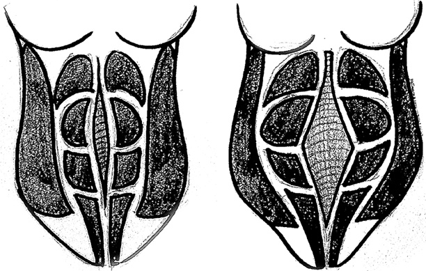 Иллюстрация к книге — Мама снова в форме! Секреты быстрого восстановления фигуры после беременности и родов [i_004.jpg]