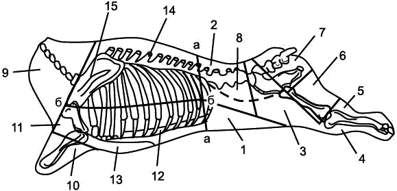 Иллюстрация к книге — Заготавливаем птицу, мясо, рыбу. Копчение, консервирование, вяление, приготовление колбас [_04.jpg]