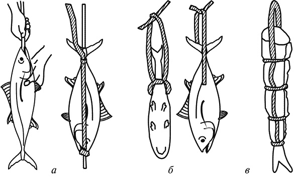 Иллюстрация к книге — Заготавливаем птицу, мясо, рыбу. Копчение, консервирование, вяление, приготовление колбас [_27.jpg]