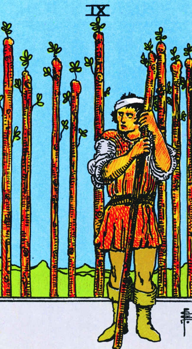 Иллюстрация к книге — Все тайны и секреты Таро. Расклады, тонкости трактовки, важнейшие нюансы. Уроки Мастера [i_119.jpg]