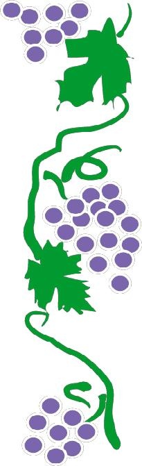 Иллюстрация к книге — Сладкие чудо-рулеты [_363.jpg]