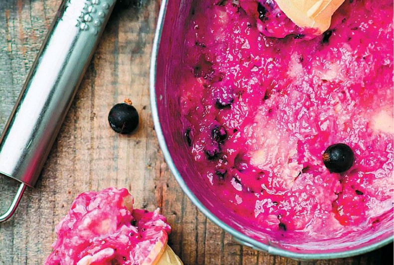 Иллюстрация к книге — Домашнее мороженое [_077.jpg]