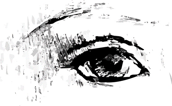 Иллюстрация к книге — Почему мы думаем то, что мы думаем [i_004.jpg]