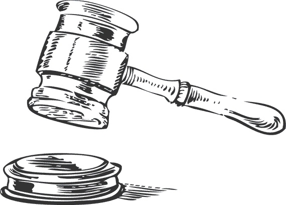 Иллюстрация к книге — Почему мы думаем то, что мы думаем [i_009.jpg]