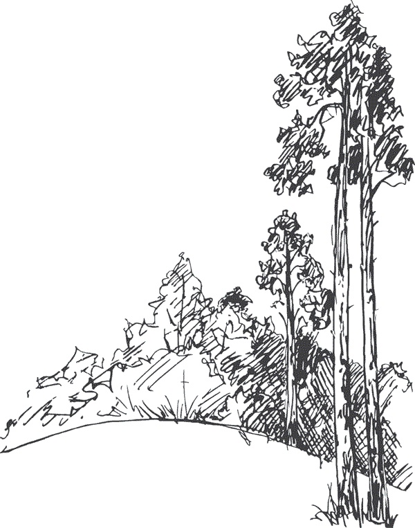 Иллюстрация к книге — Почему мы думаем то, что мы думаем [i_018.jpg]