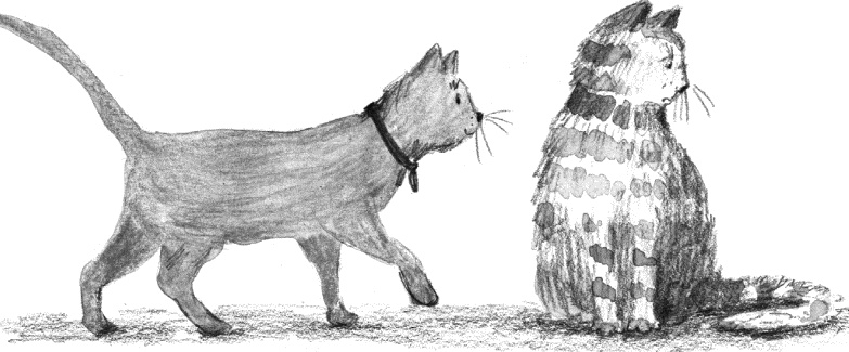 Иллюстрация к книге — Алфи. Вдали от дома [i_003.jpg]