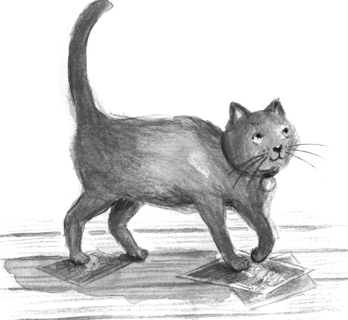 Иллюстрация к книге — Алфи. Вдали от дома [i_014.jpg]